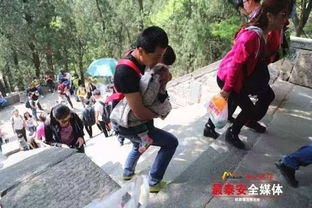 多位泰山陪爬员称五一接单少于平时